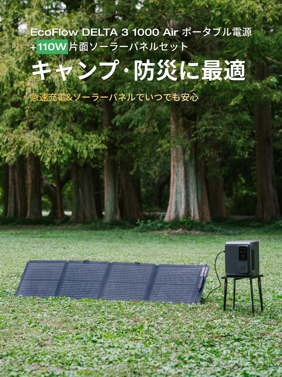 Amazon.co.jp: EcoFlow(エコフロー): セール情報